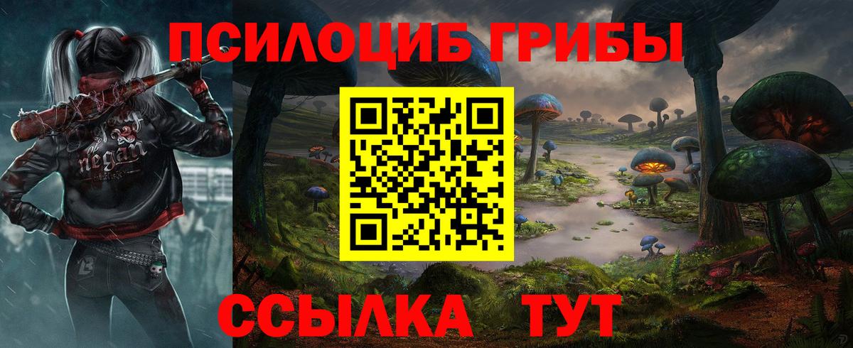 Галлюциногенные грибы мицелий  Вход с VPN  цены   Новоалтайск 